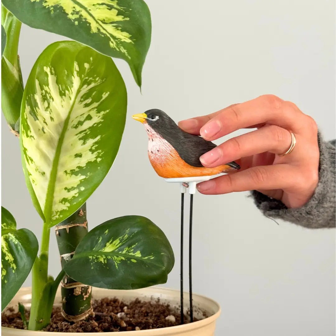 Folige Houseplant Moisture Meter